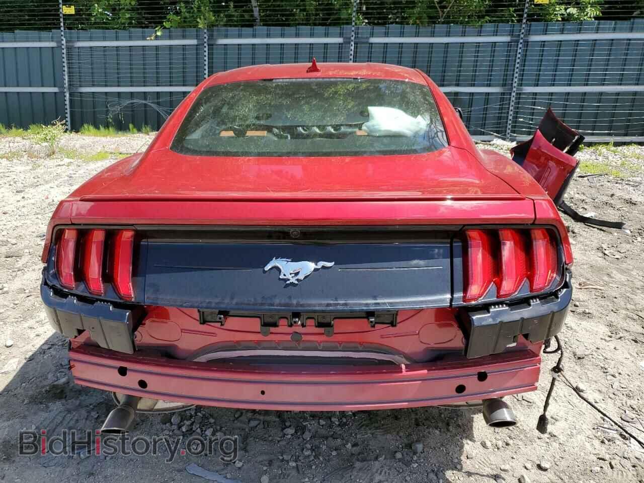 2023 FORD ALL Models - VIN: 1FA6P8TH1P5100116 - Фото 6