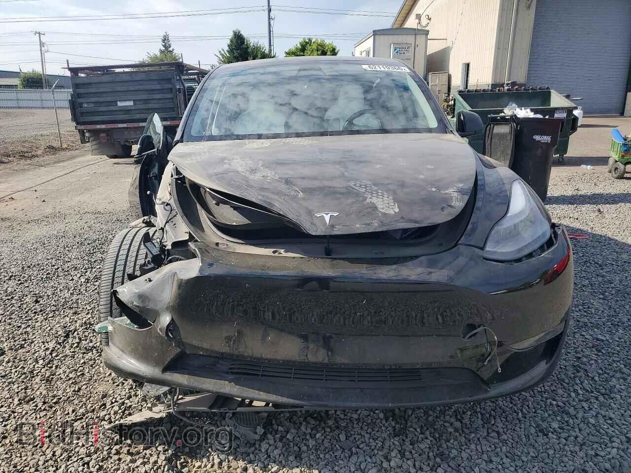 2023 TESLA MODEL Y - VIN: 7SAYGDEFXPF773608 - Фото 5