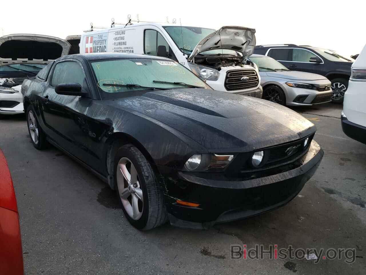 Фотография 1ZVBP8CF0C5202649 - FORD MUSTANG 2012