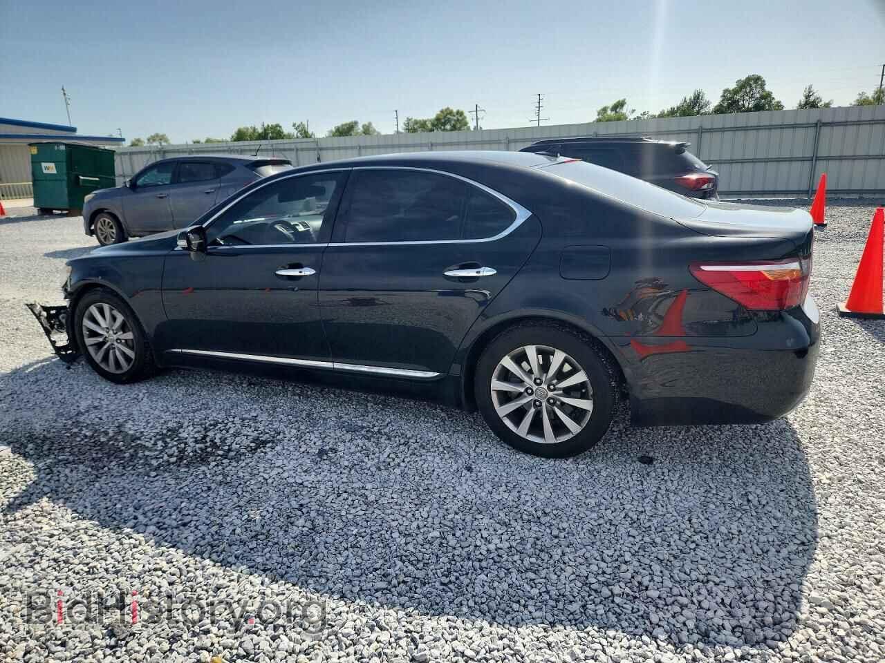 2011 LEXUS LS460 - VIN: JTHCL5EF2B5010368 - Photo 2