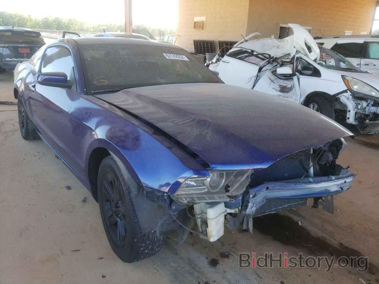 Photo 1ZVBP8AM6E5297092 - FORD MUSTANG 2014