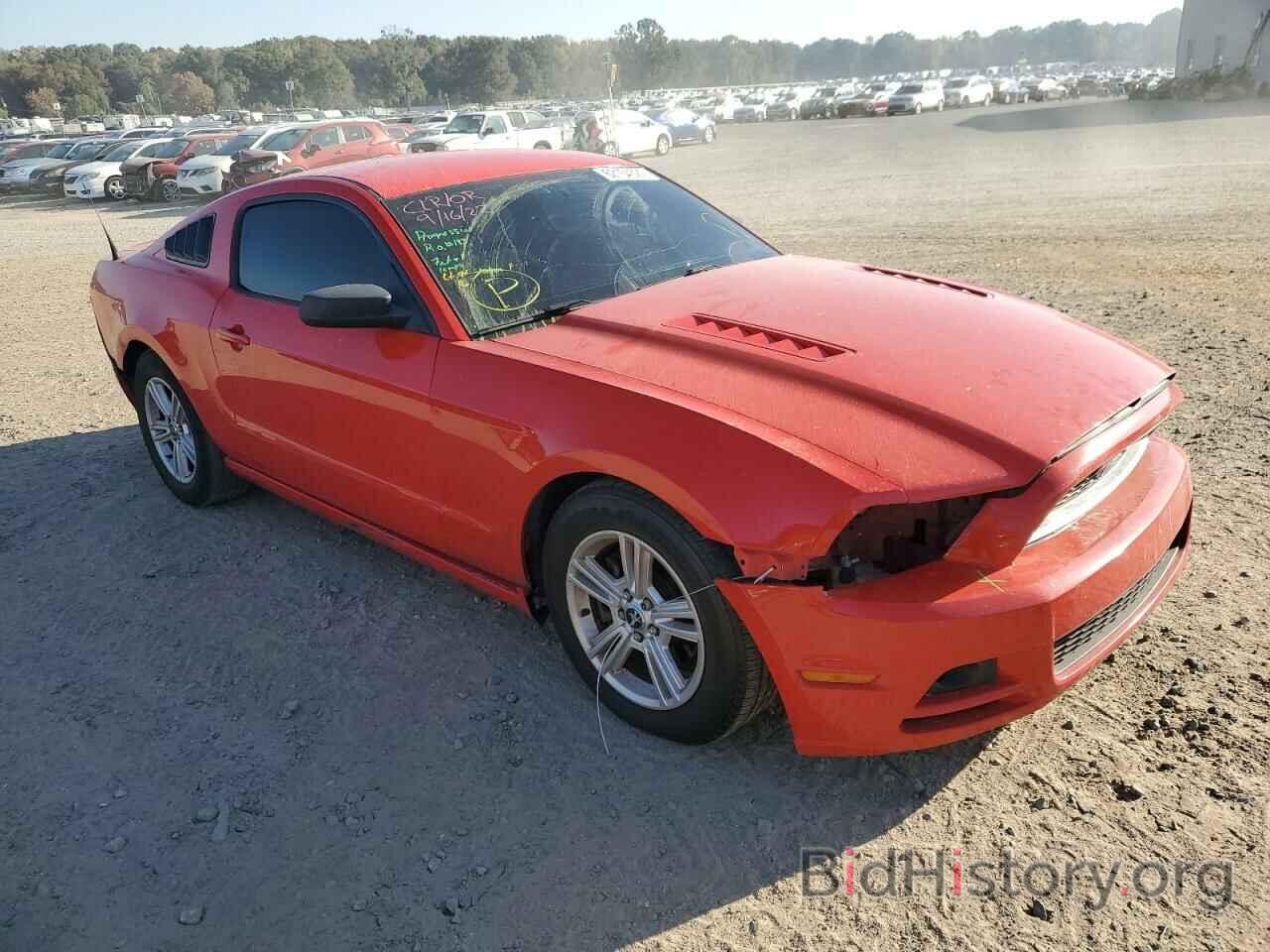 Photo 1ZVBP8AM3D5273816 - FORD MUSTANG 2013