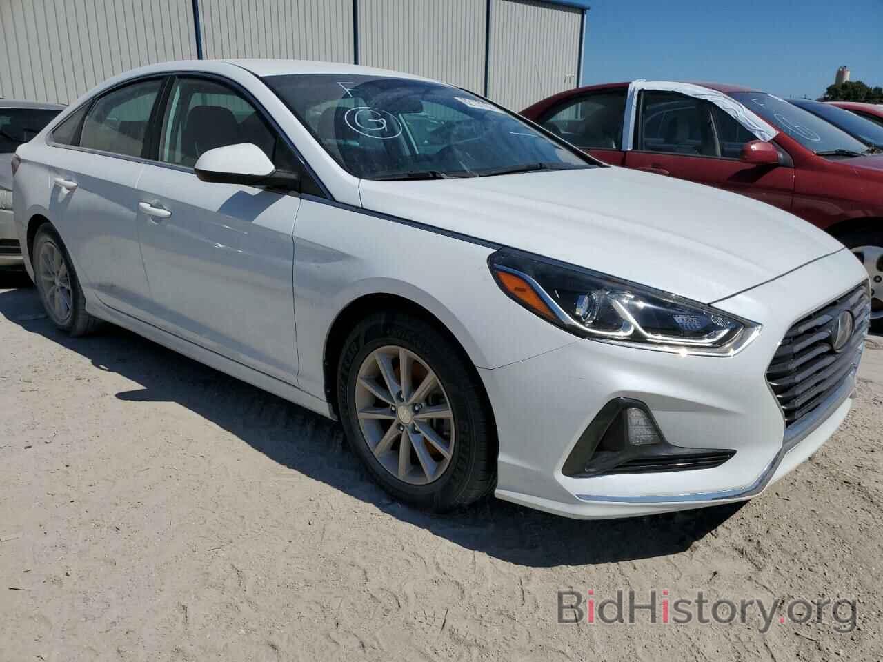 Photo 5NPE24AF1KH747333 - HYUNDAI SONATA 2019