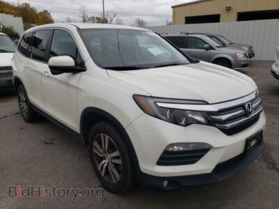 2018 Honda PILOT Pilot EXL, white — VIN 5FNYF6H55JB057060, Copart