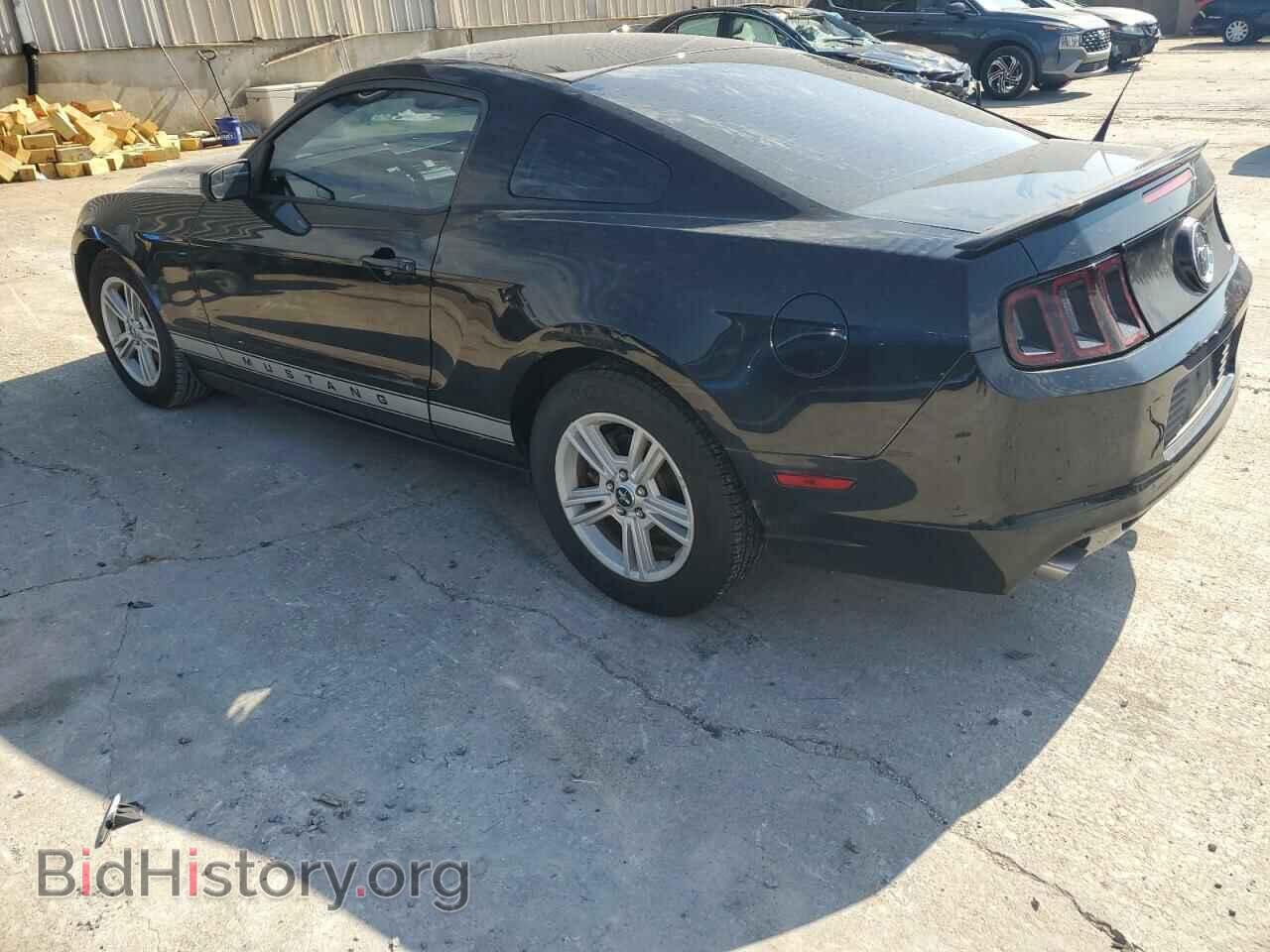 2013 FORD ALL Models - VIN: 1ZVBP8AM2D5209038 - Фото 2