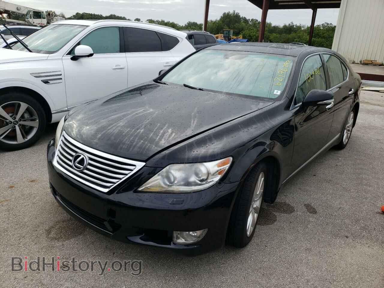 2011 LEXUS LS460 - VIN: JTHCL5EF2B5009513 - Фото 2