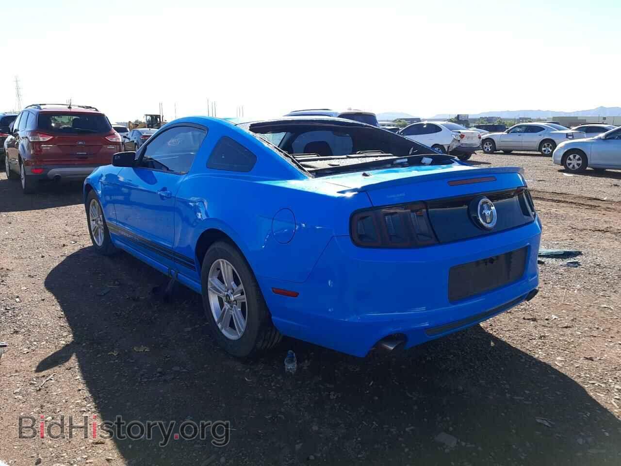 2013 FORD MUSTANG - VIN: 1ZVBP8AM8D5227009 - Фото 3