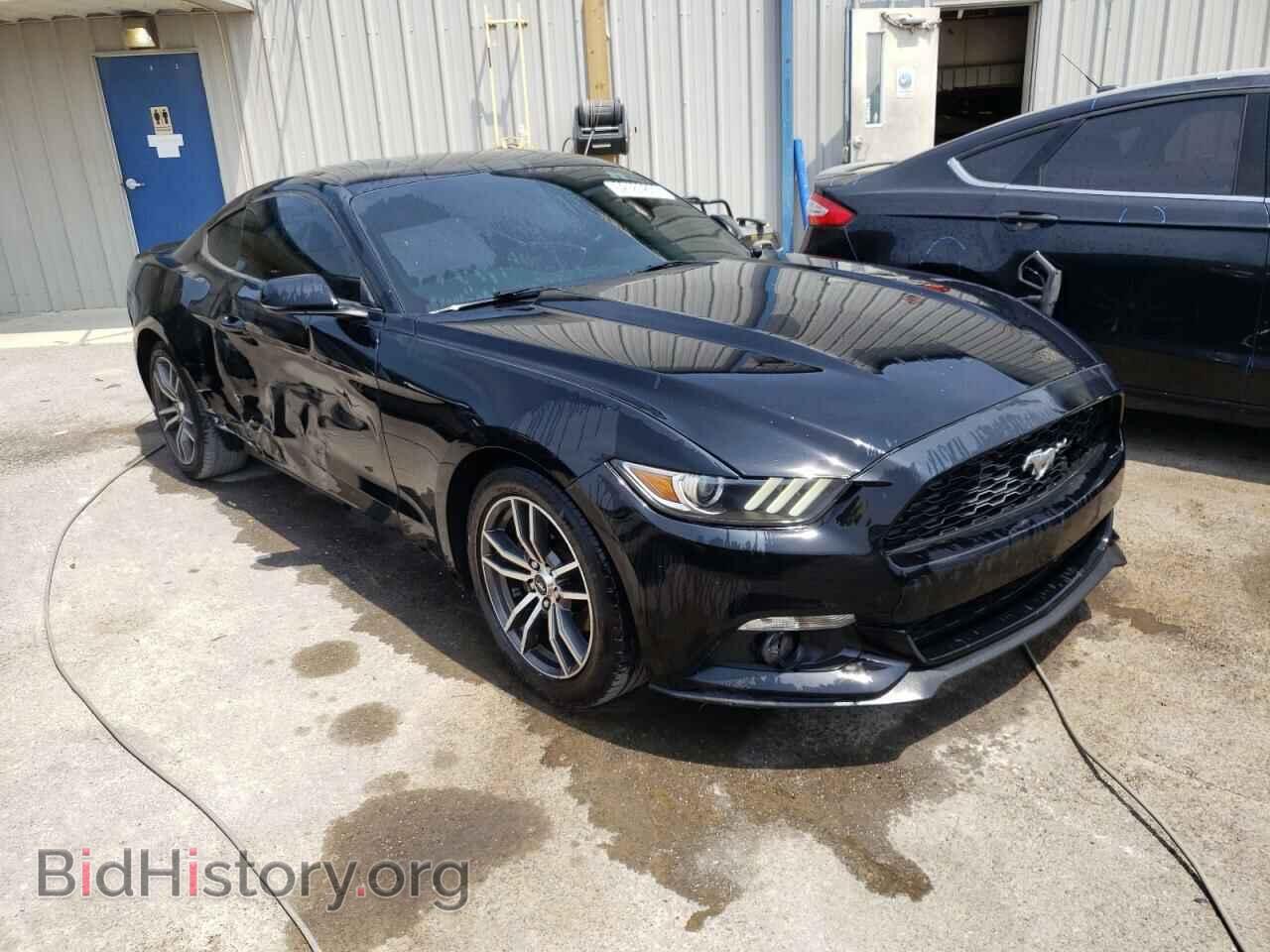 2017 FORD ALL Models - VIN: 1FA6P8TH6H5281974 - Фото 4