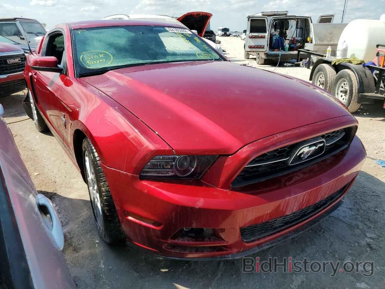 Photo 1ZVBP8AM7E5223891 - FORD MUSTANG 2014
