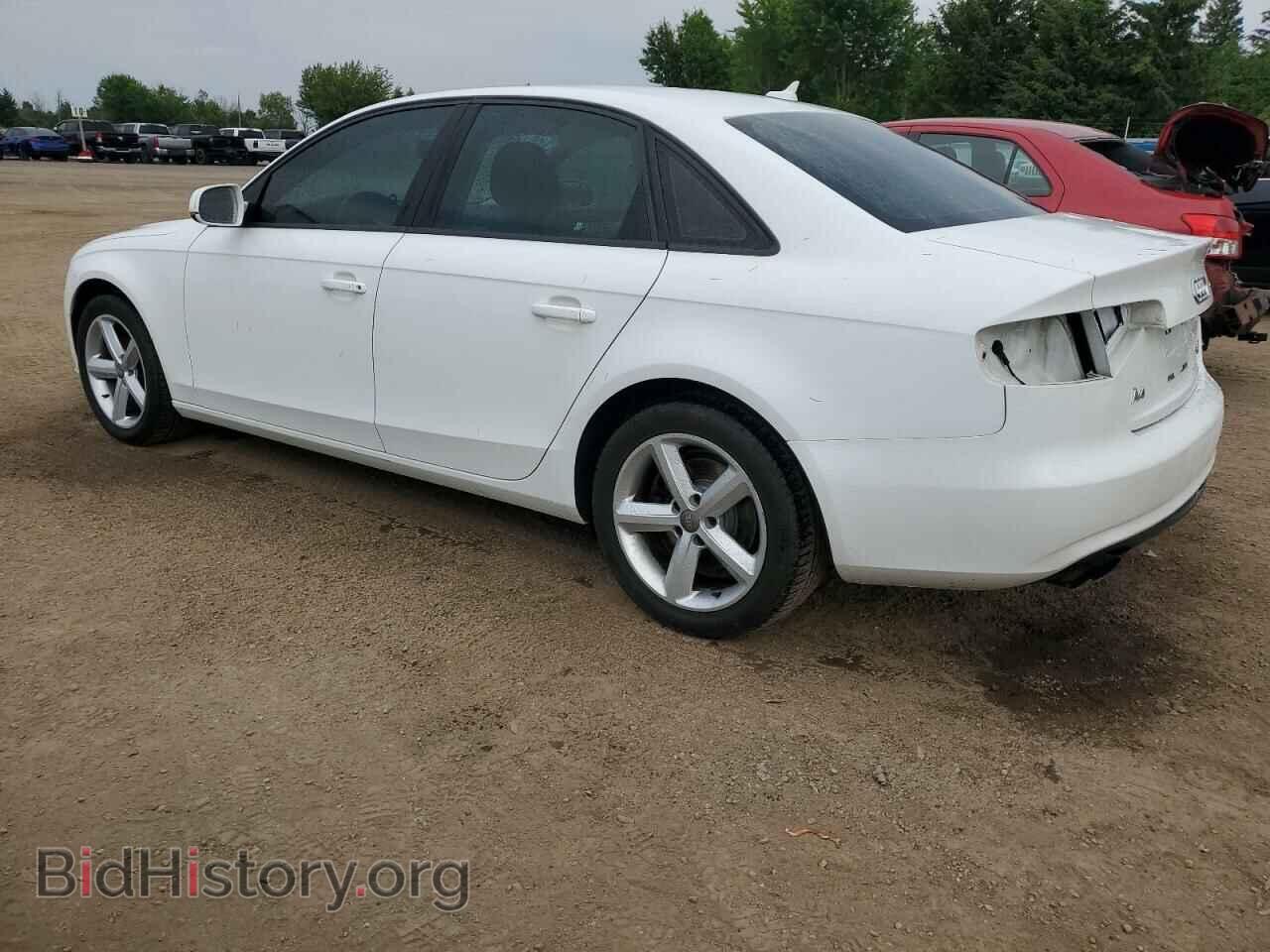 2013 AUDI A4 - VIN: WAUBFCFL7DN024795 - Фото 2