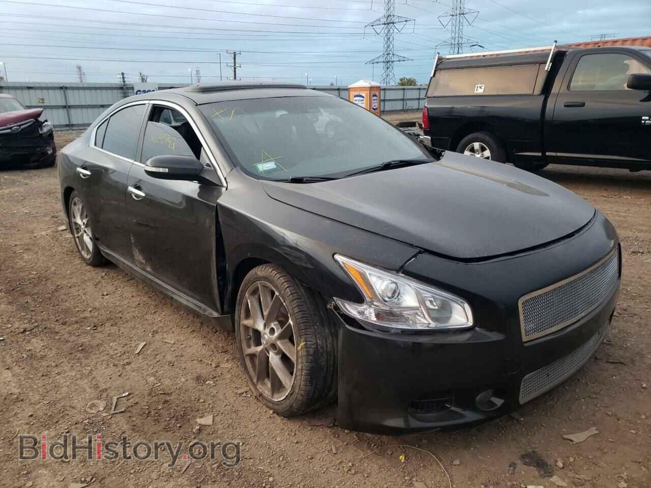 Photo 1N4AA5AP6BC856047 - NISSAN MAXIMA 2011