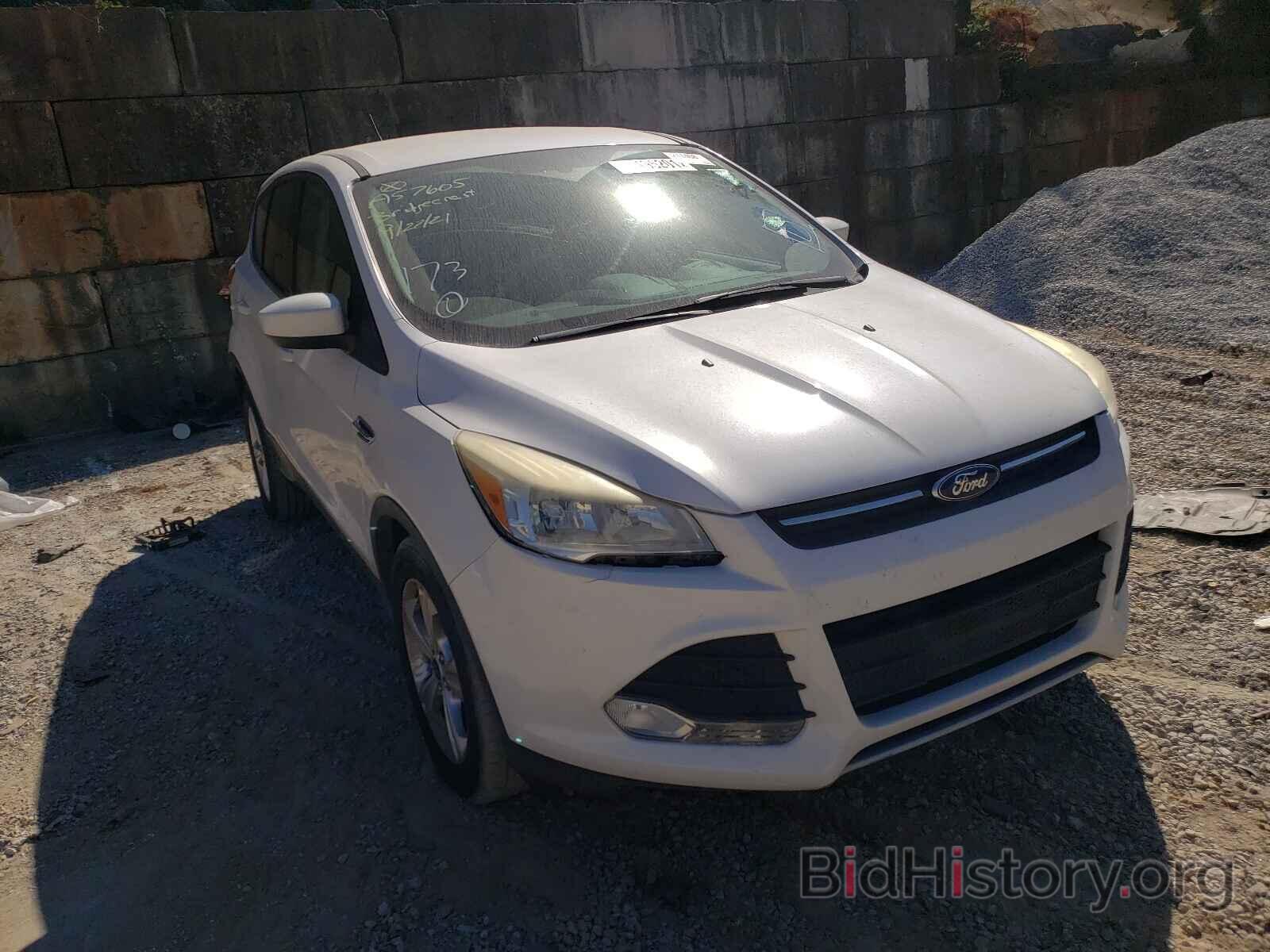 Photo 1FMCU0GX9EUA57605 - FORD ESCAPE 2014