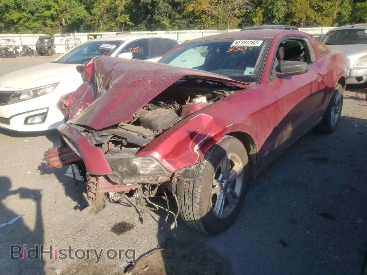 2014 FORD MUSTANG - VIN: 1ZVBP8AM5E5315033 - Фото 2