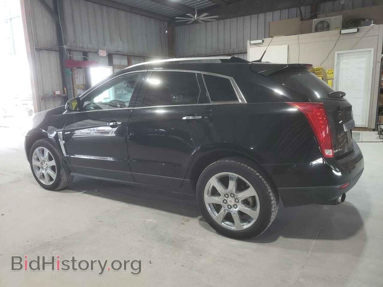 2011 CADILLAC SRX - VIN: 3GYFNFEY7BS505486 - Фото 2