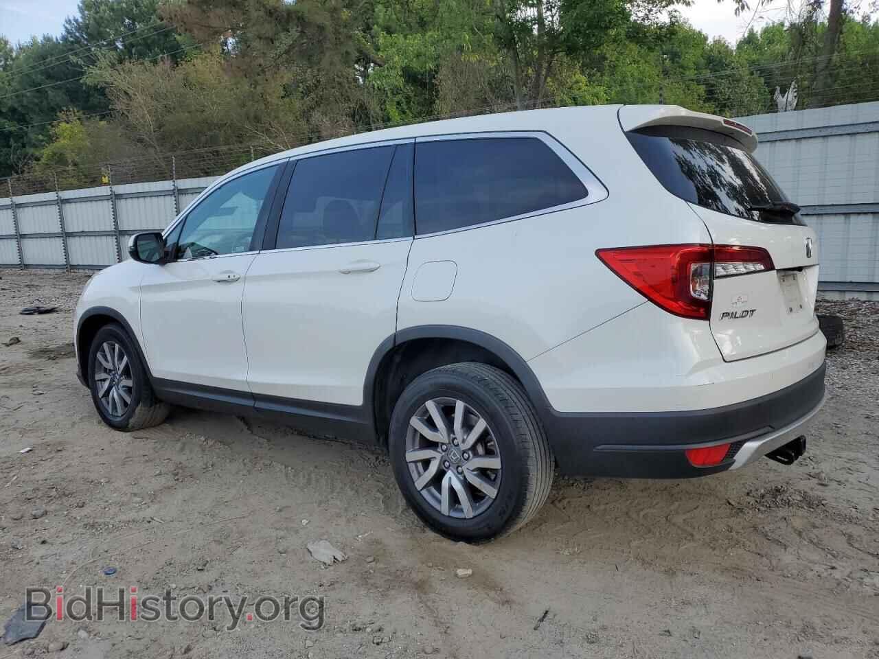 2019 HONDA PILOT - VIN: 5FNYF5H44KB009679 - Фото 2