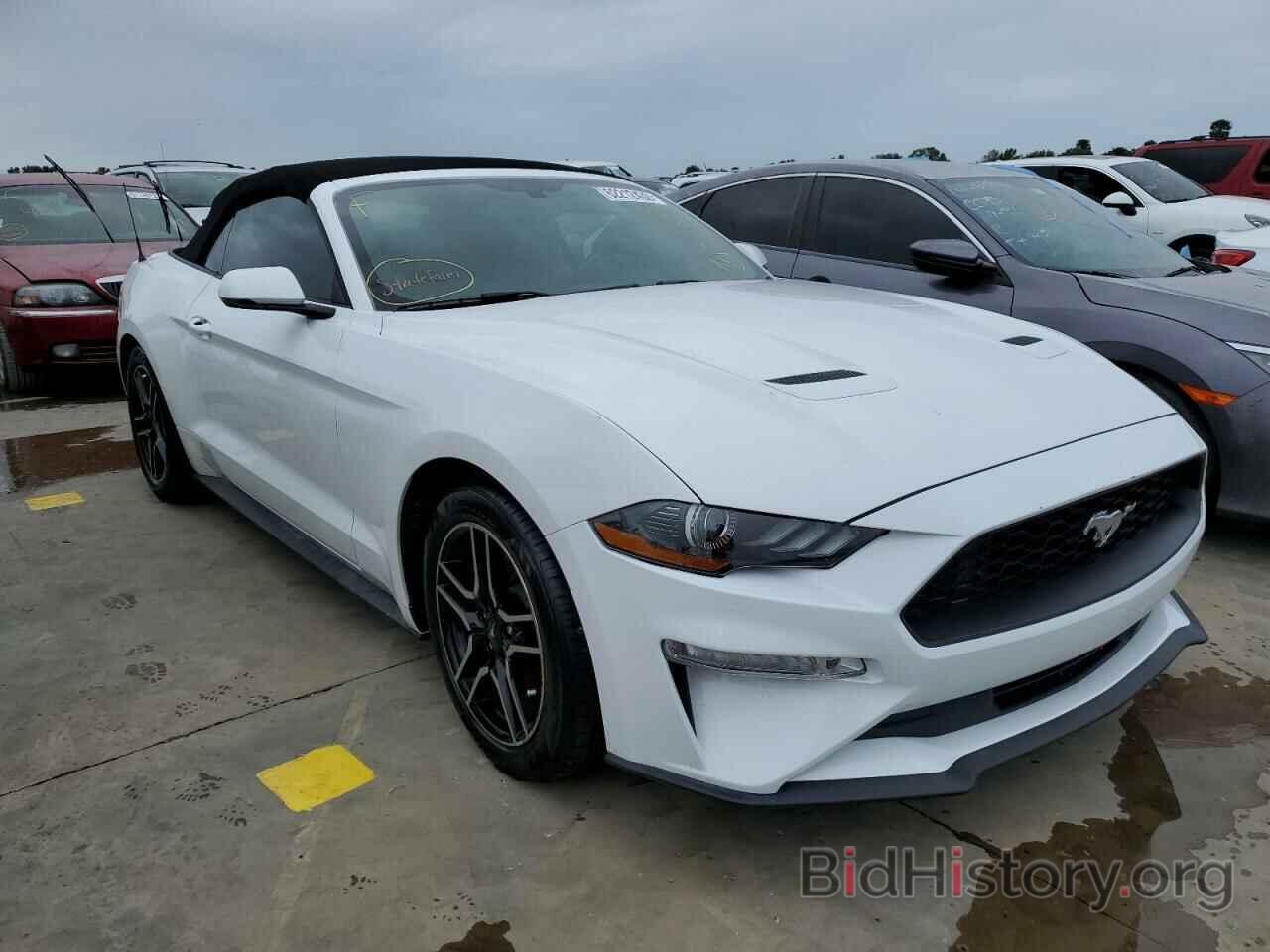 Photo 1FATP8UH9K5181828 - FORD MUSTANG 2019