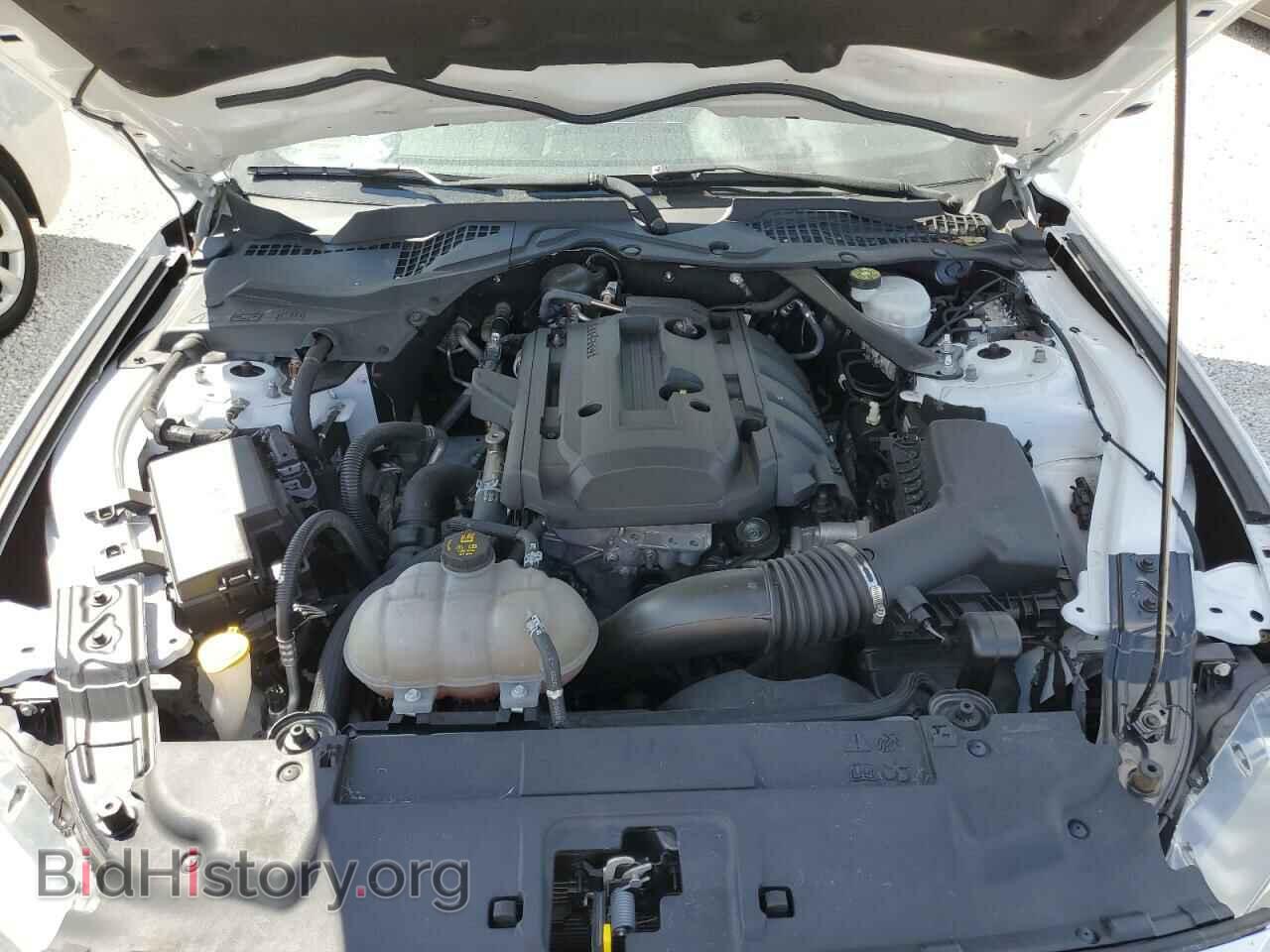 2019 FORD MUSTANG - VIN: 1FATP8UH9K5181828 - Фото 7