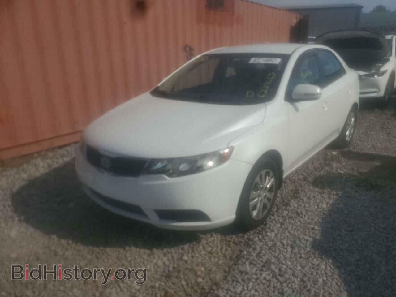 2012 KIA FORTE - VIN: KNAFU4A25C5603150 - Фото 2