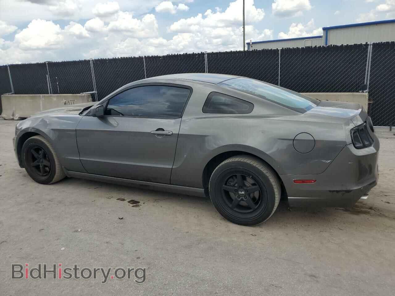 2013 FORD ALL Models - VIN: 1ZVBP8AM8D5215538 - Фото 2