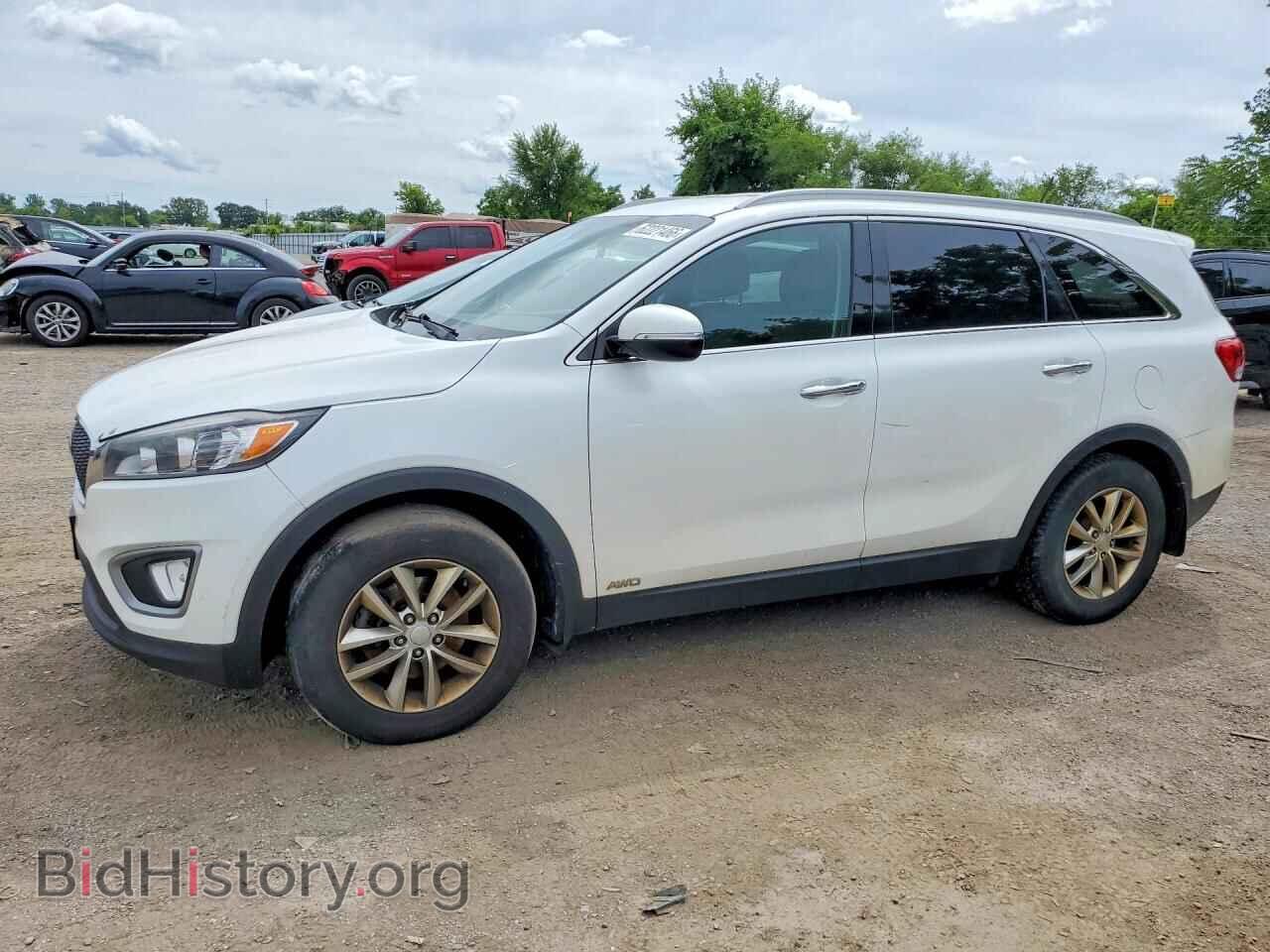 Photo 5XYPGDA36HG317023 - KIA SORENTO 2017