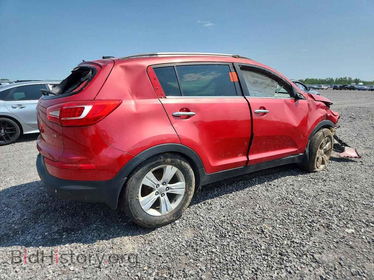 2011 KIA SPORTAGE - VIN: KNDPC3A20B7021125 - Фото 3