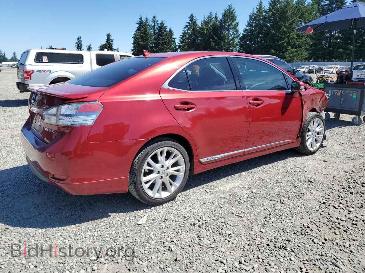 2010 LEXUS HS - VIN: JTHBB1BA4A2016110 - Фото 3