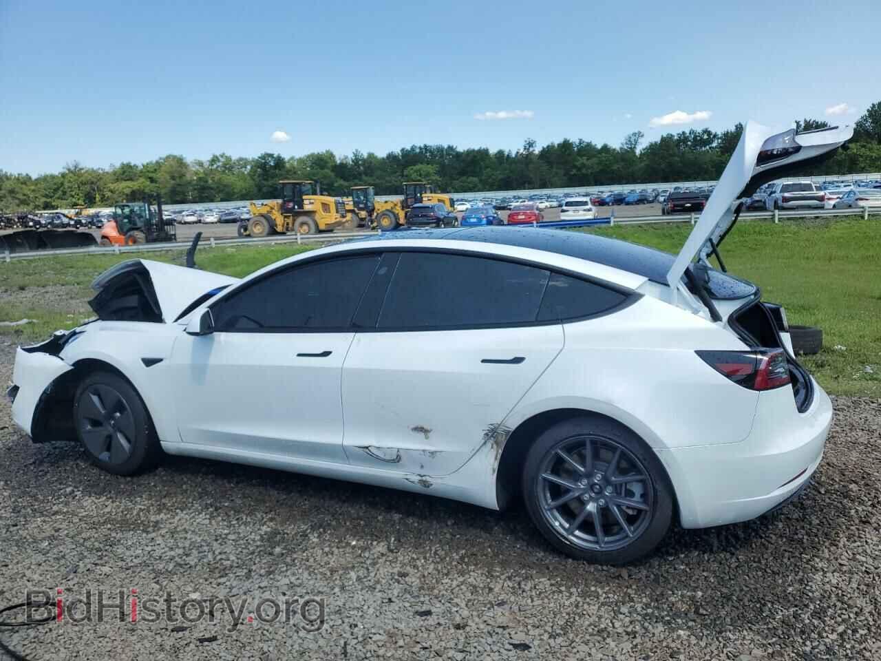 2023 TESLA MODEL 3 - VIN: 5YJ3E1EA1PF513372 - Photo 2