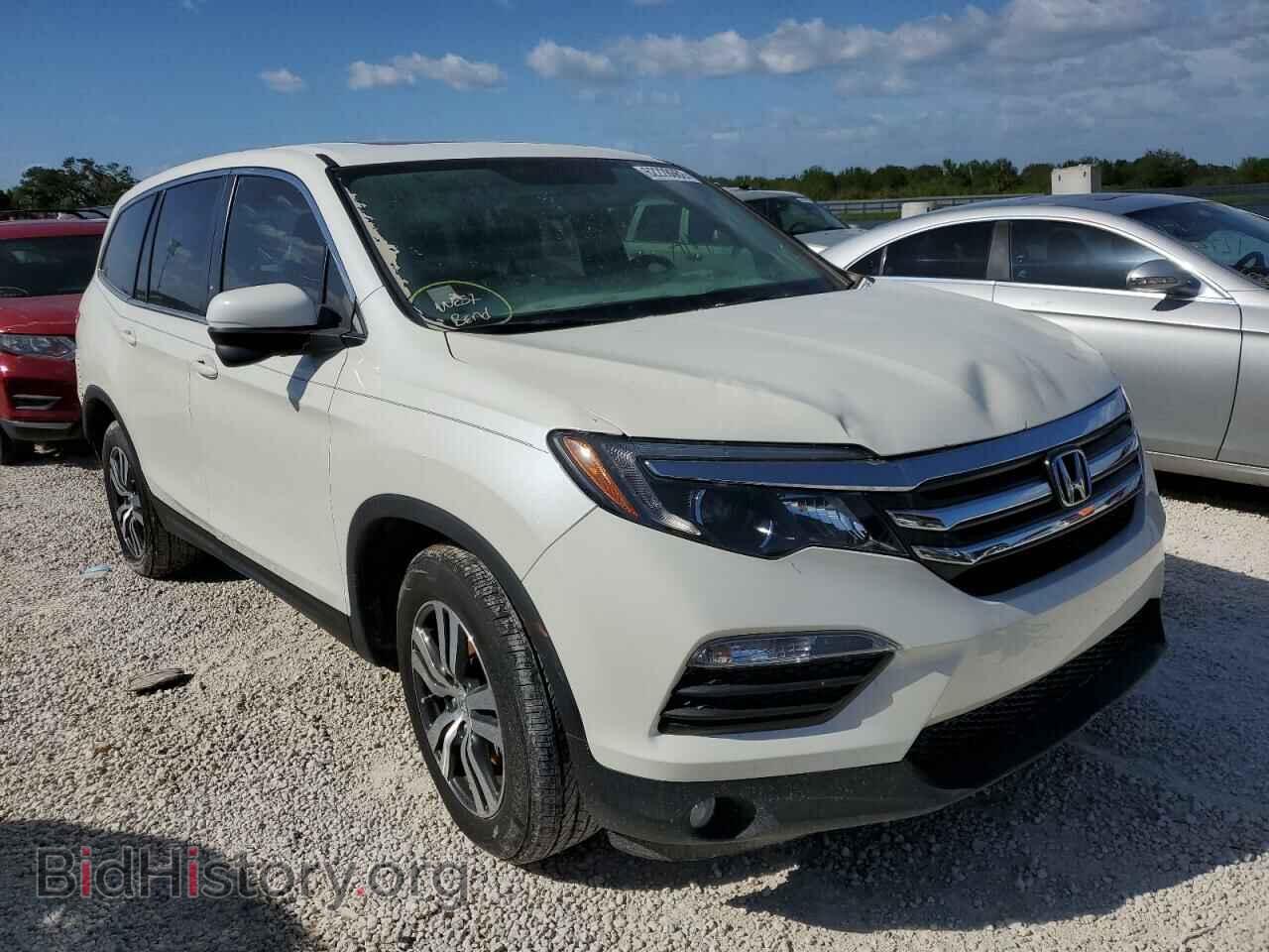 Фотография 5FNYF5H56JB015989 - HONDA PILOT 2018