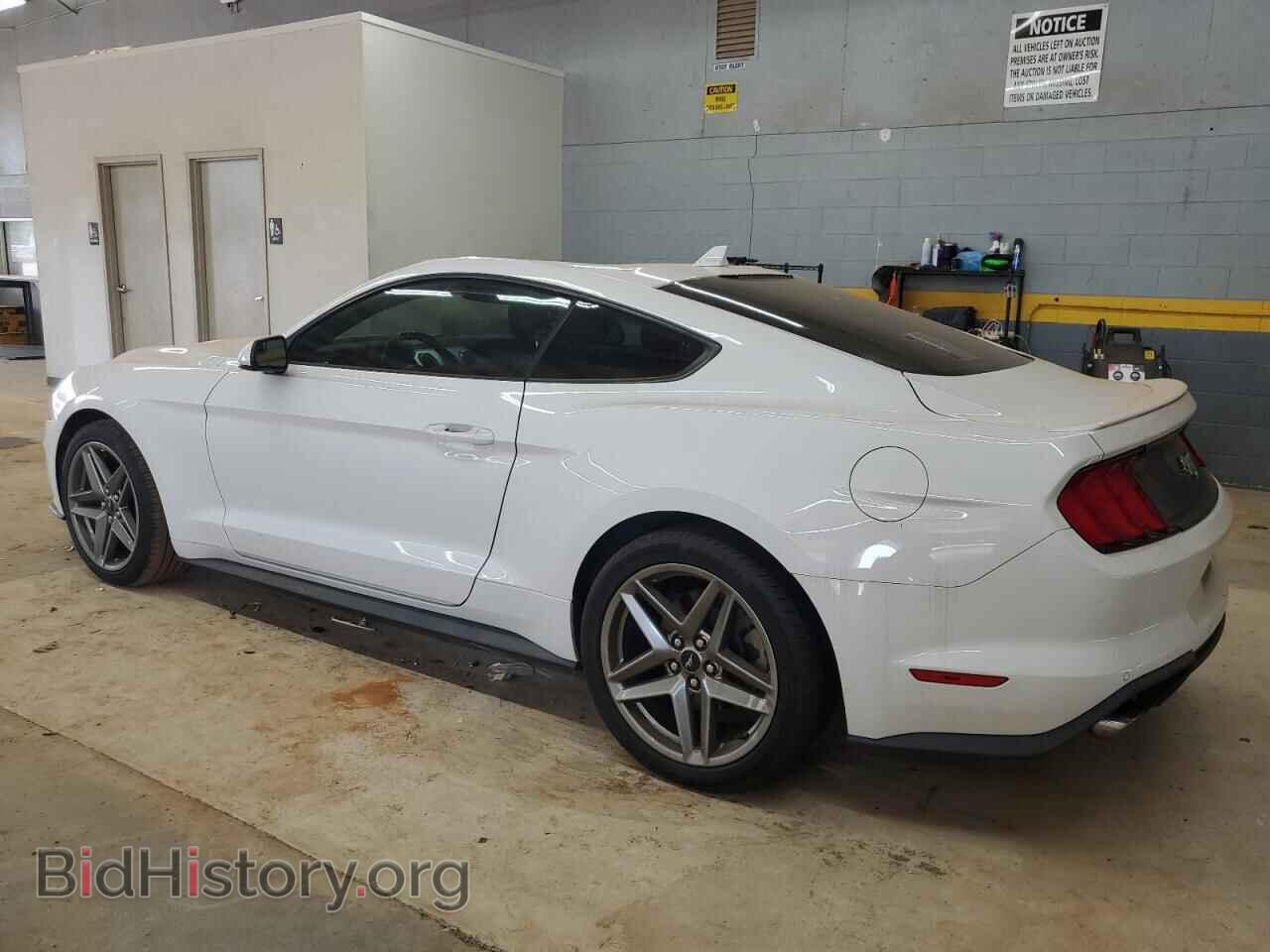 2020 FORD ALL Models - VIN: 1FA6P8TH3L5183199 - Photo 2