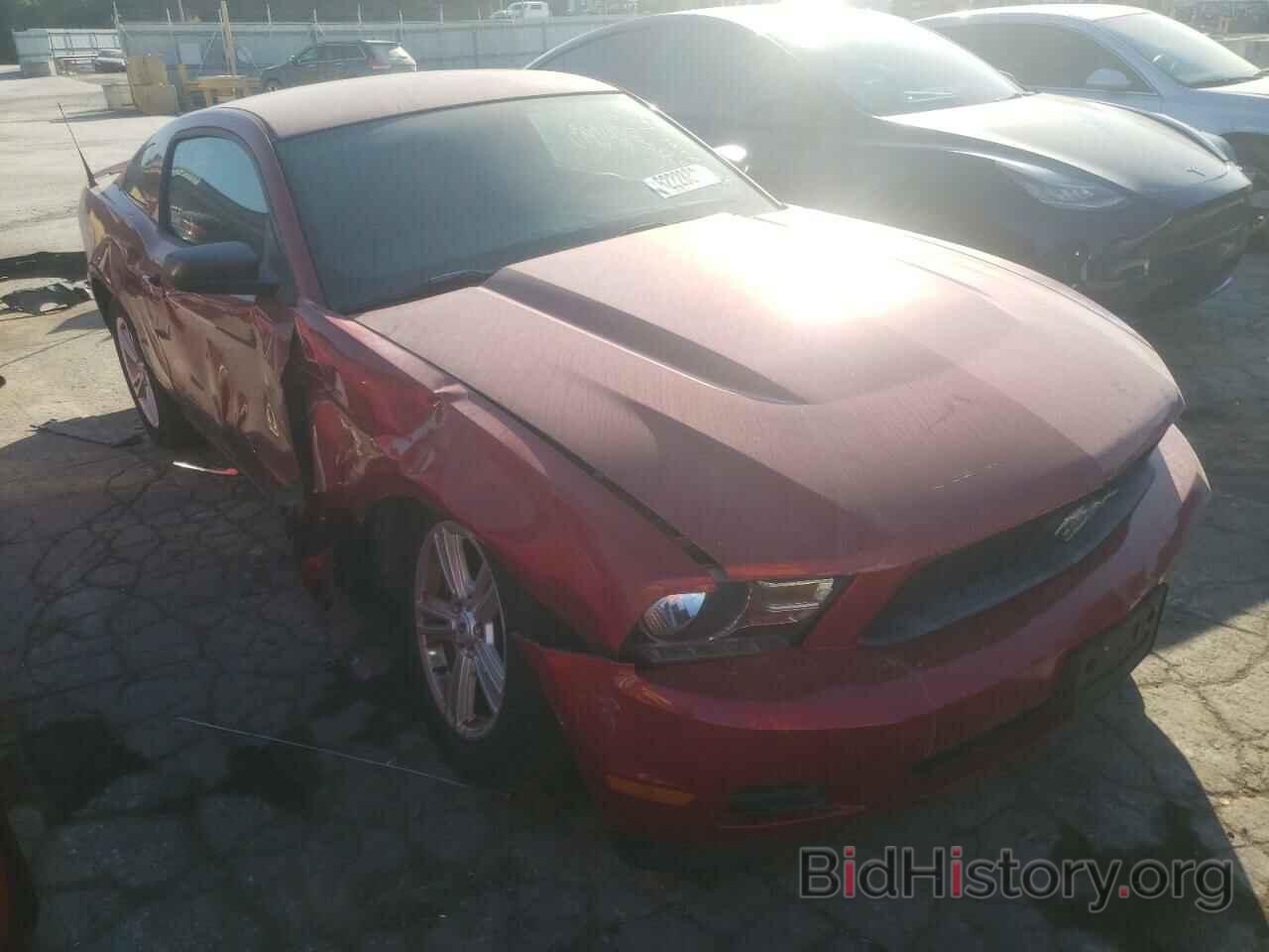 Фотография 1ZVBP8AM4C5260281 - FORD MUSTANG 2012