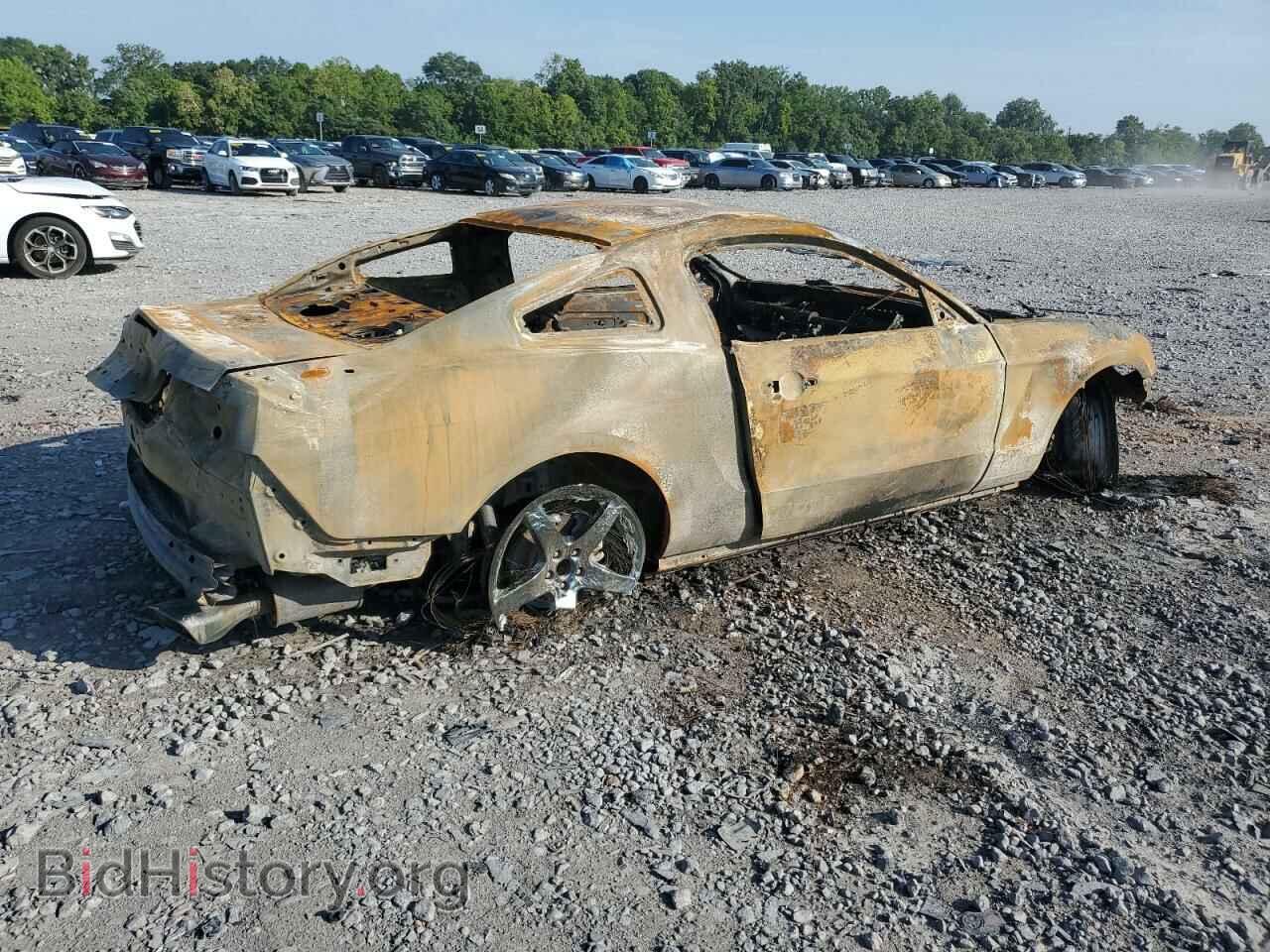 2013 FORD MUSTANG - VIN: 1ZVBP8CF8D5245573 - Фото 3