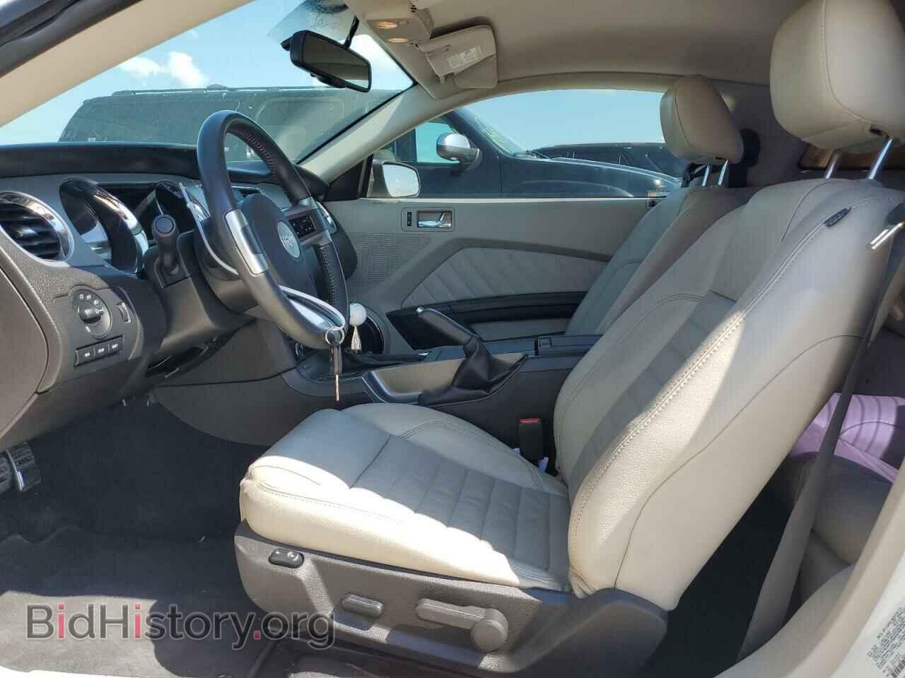 2010 FORD MUSTANG - VIN: 1ZVBP8CH9A5144989 - Фото 7