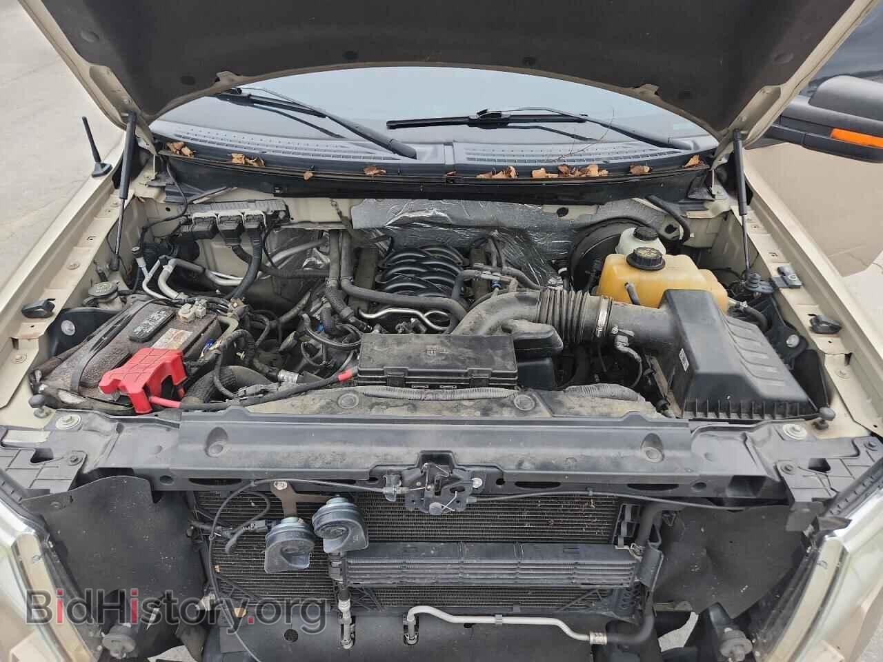 2013 FORD All Models - VIN: 1FTMF1CF2DFD00471 - Photo 11
