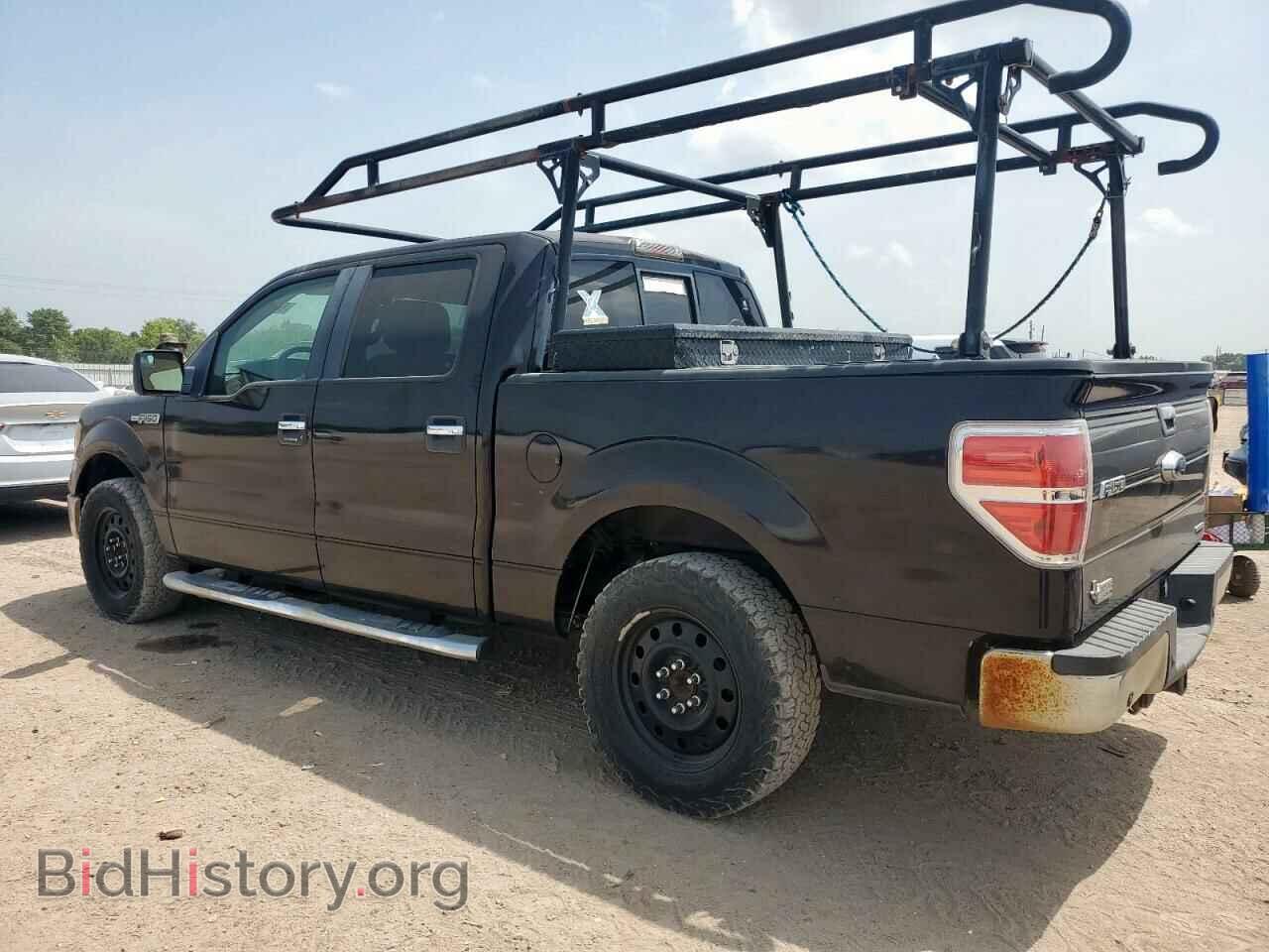 2013 FORD F-150 - VIN: 1FTFW1CF8DKD06033 - Фото 2