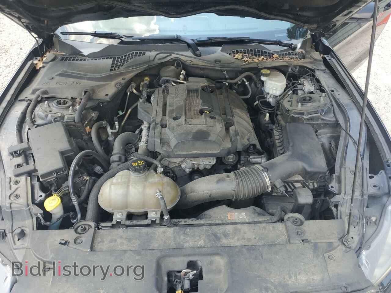 2017 FORD ALL Models - VIN: 1FA6P8THXH5278429 - Photo 11
