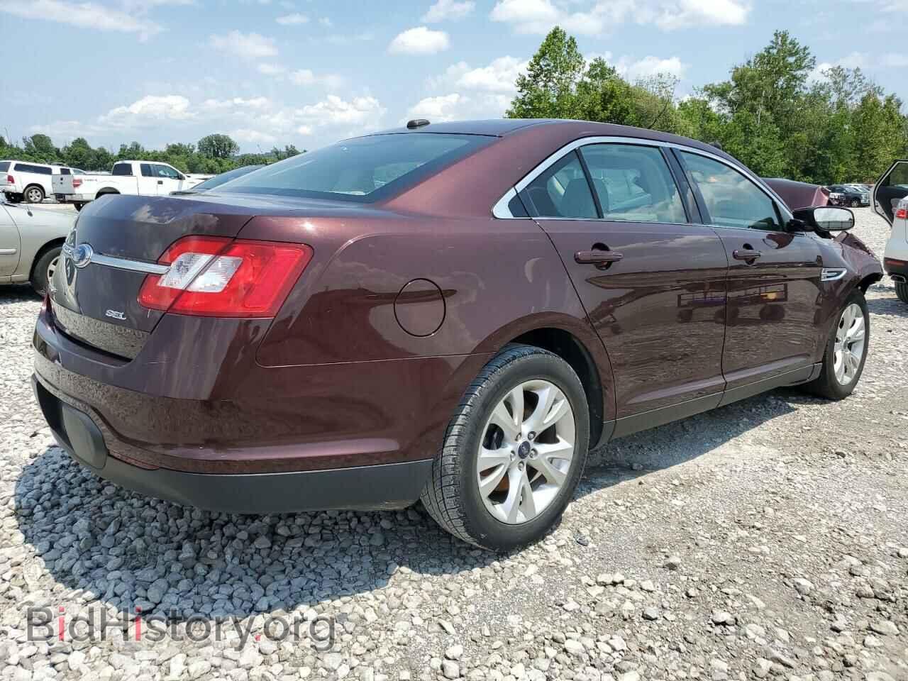 2010 FORD TAURUS - VIN: 1FAHP2EW7AG131061 - Фото 3
