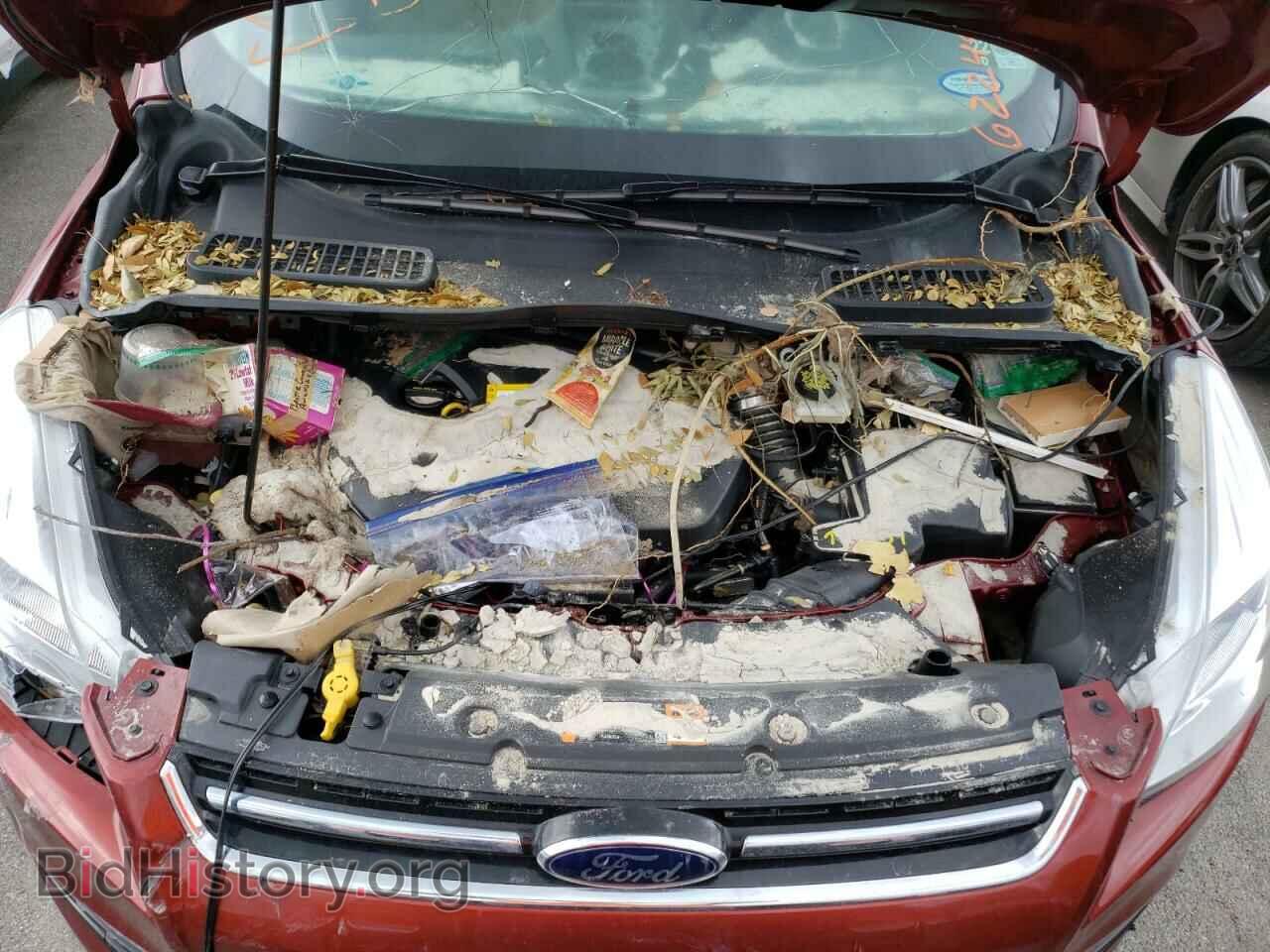 2015 FORD ESCAPE - VIN: 1FMCU0JX0FUB36557 - Фото 7