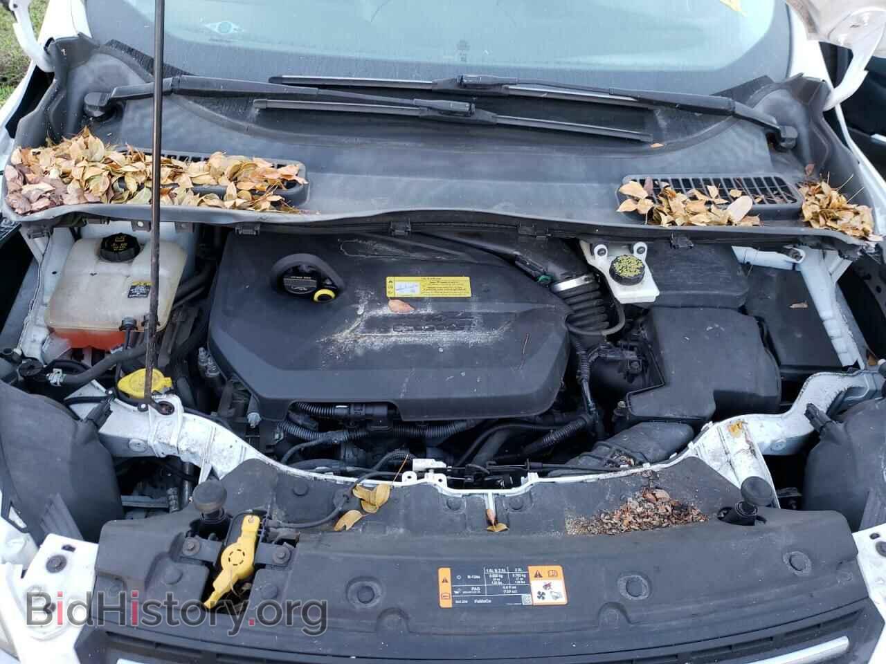 2013 FORD ESCAPE - VIN: 1FMCU0GX0DUC83787 - Фото 7