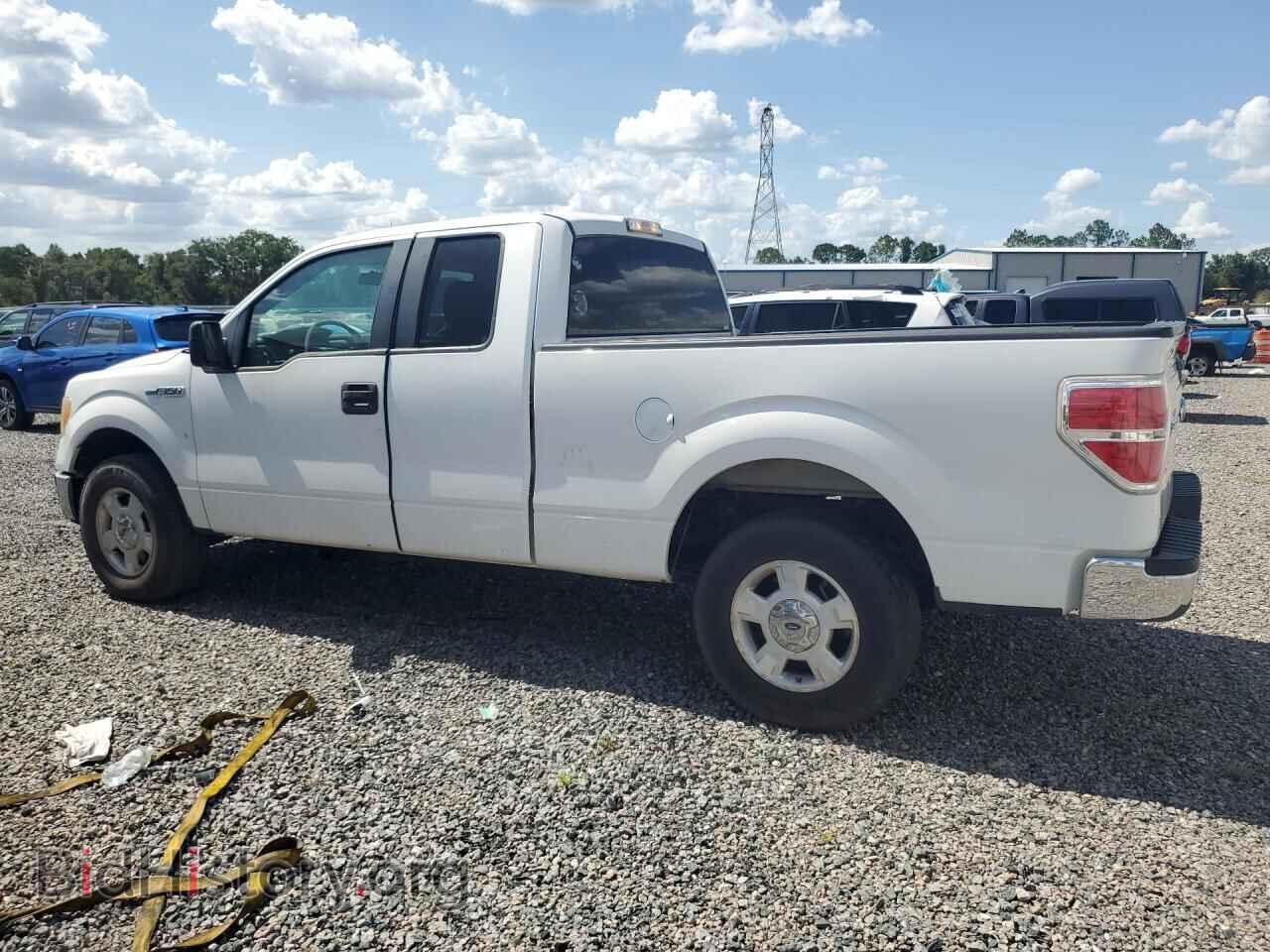 2013 FORD F150 - VIN: 1FTEX1CM4DFD27719 - Photo 2