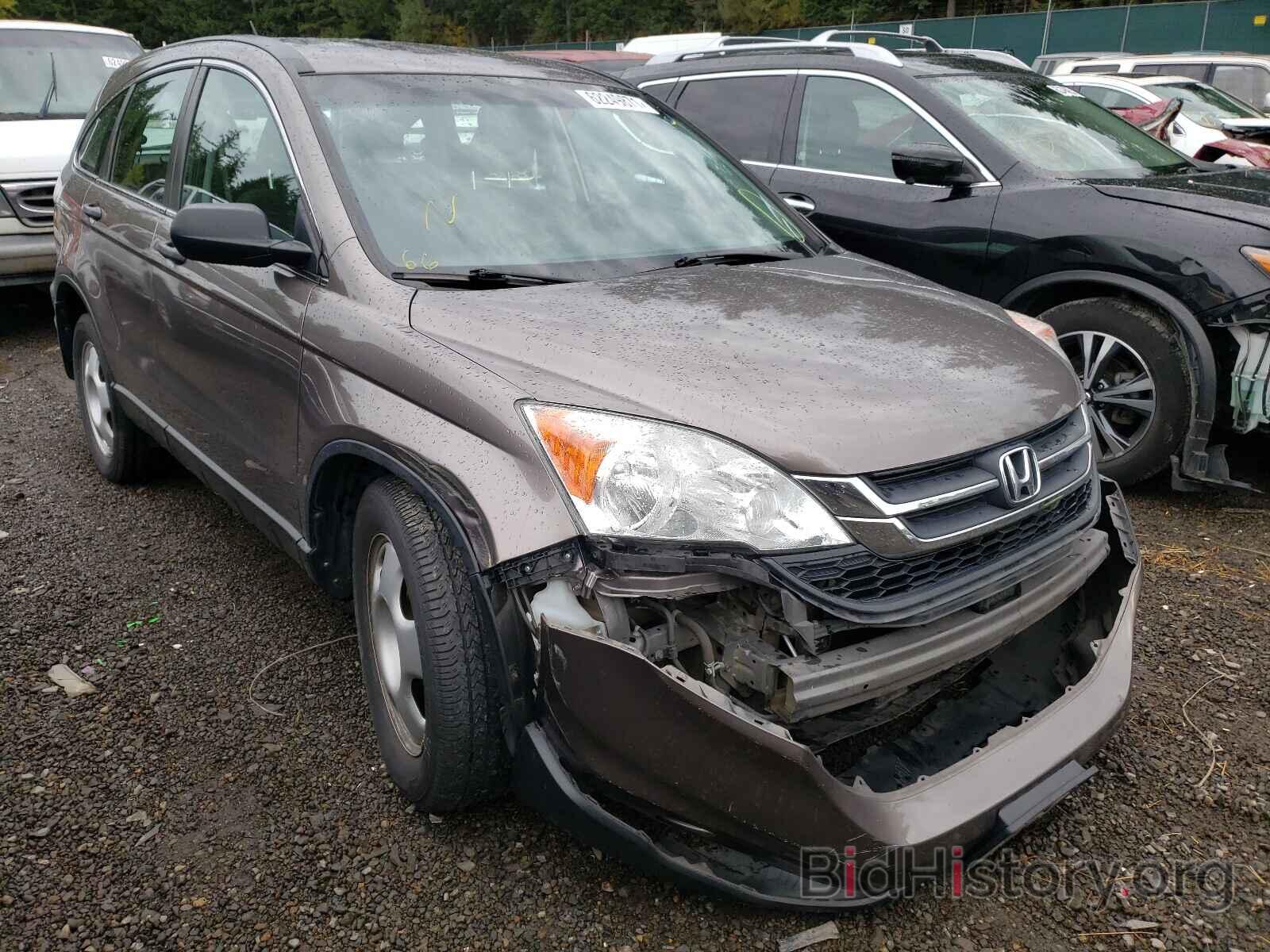 Photo 5J6RE4H38BL090461 - HONDA CRV 2011