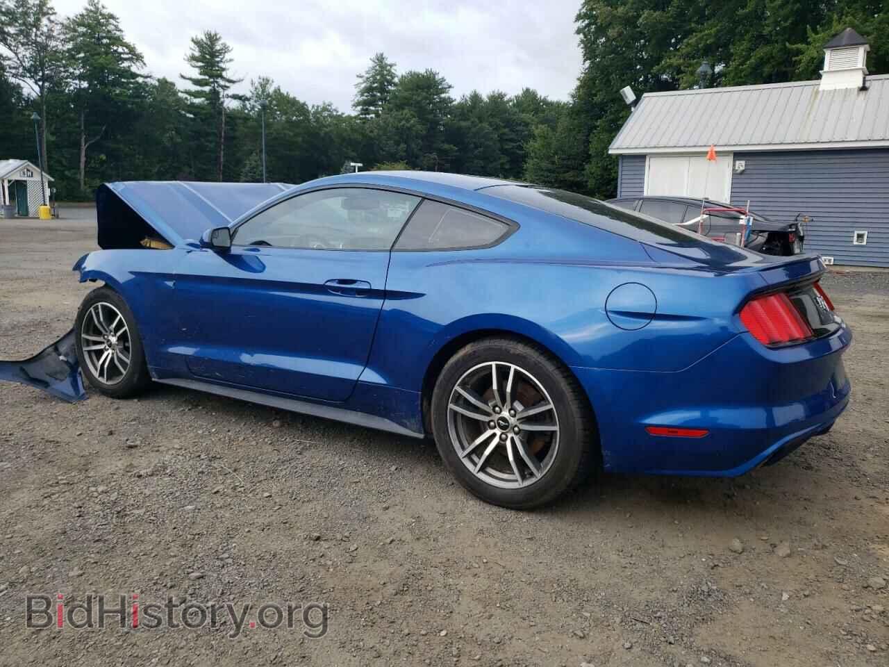 2017 FORD ALL Models - VIN: 1FA6P8TH0H5215002 - Фото 2