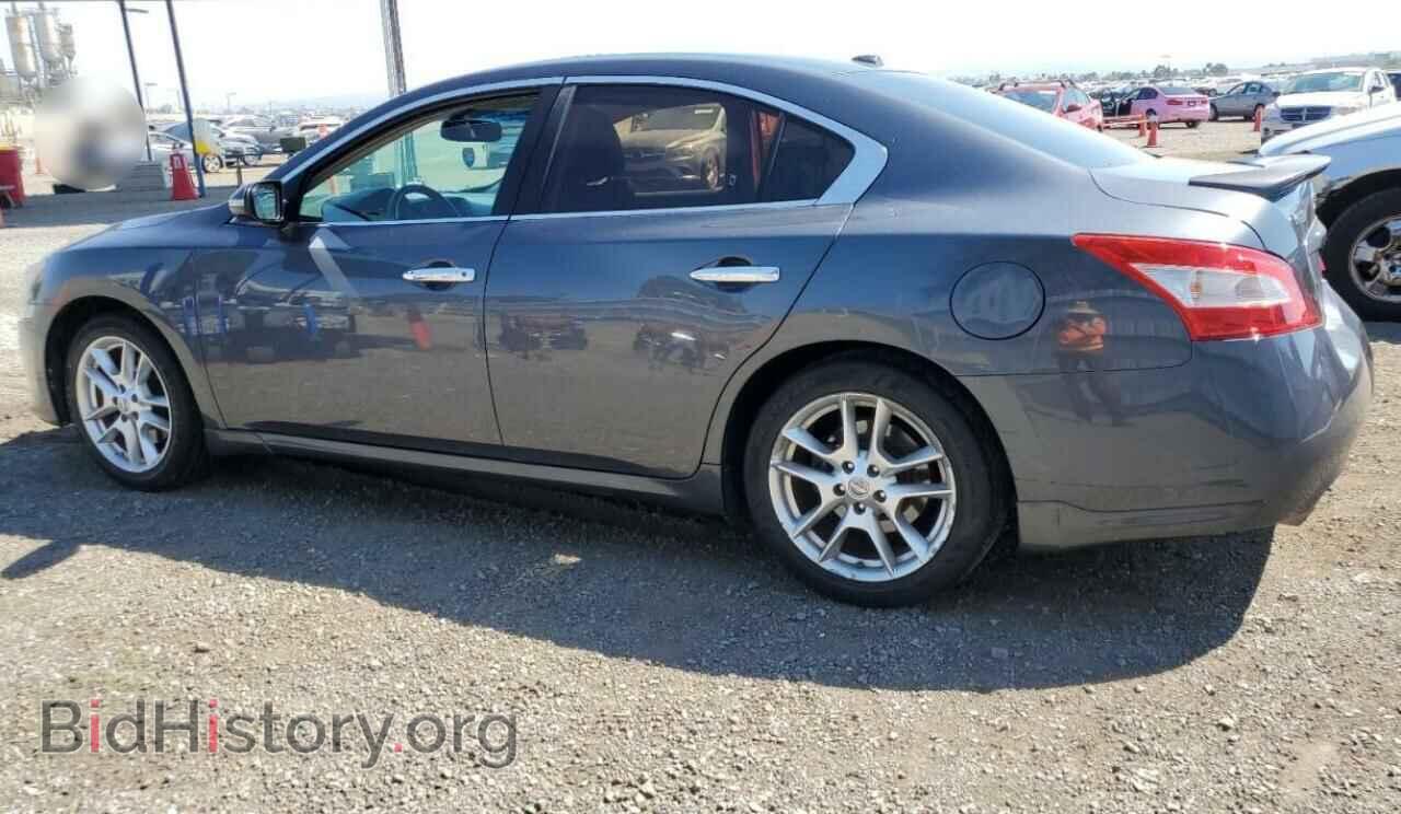 2009 NISSAN MAXIMA - VIN: 1N4AA51E29C830537 - Фото 2