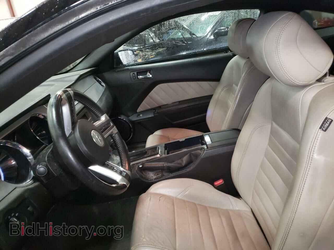 2013 FORD MUSTANG - VIN: 1ZVBP8AM1D5204199 - Фото 5