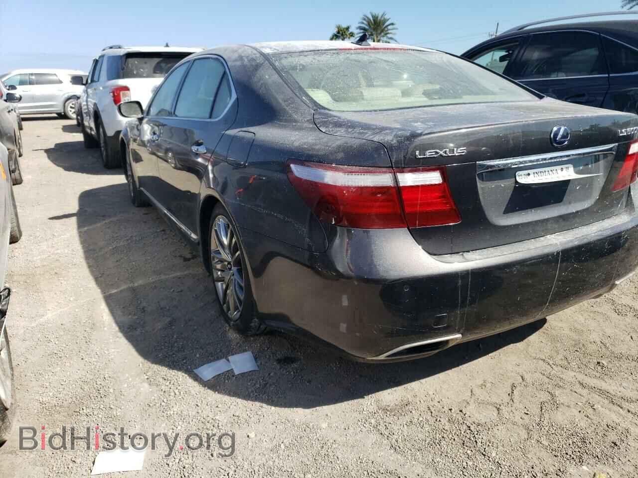 2008 LEXUS LS600 - VIN: JTHDU46FX85001176 - Фото 3