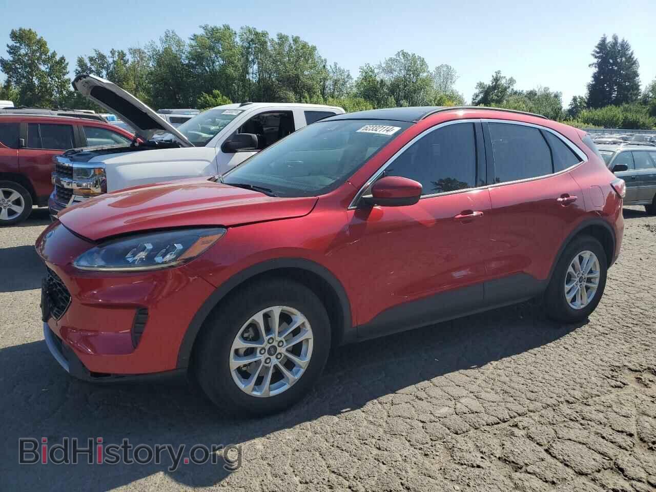 Photo 1FMCU9G6XLUA36836 - FORD ESCAPE 2020