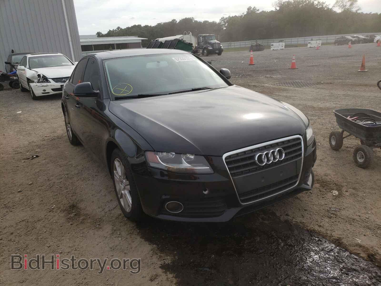 Фотография WAULF78K79N063829 - AUDI A4 2009