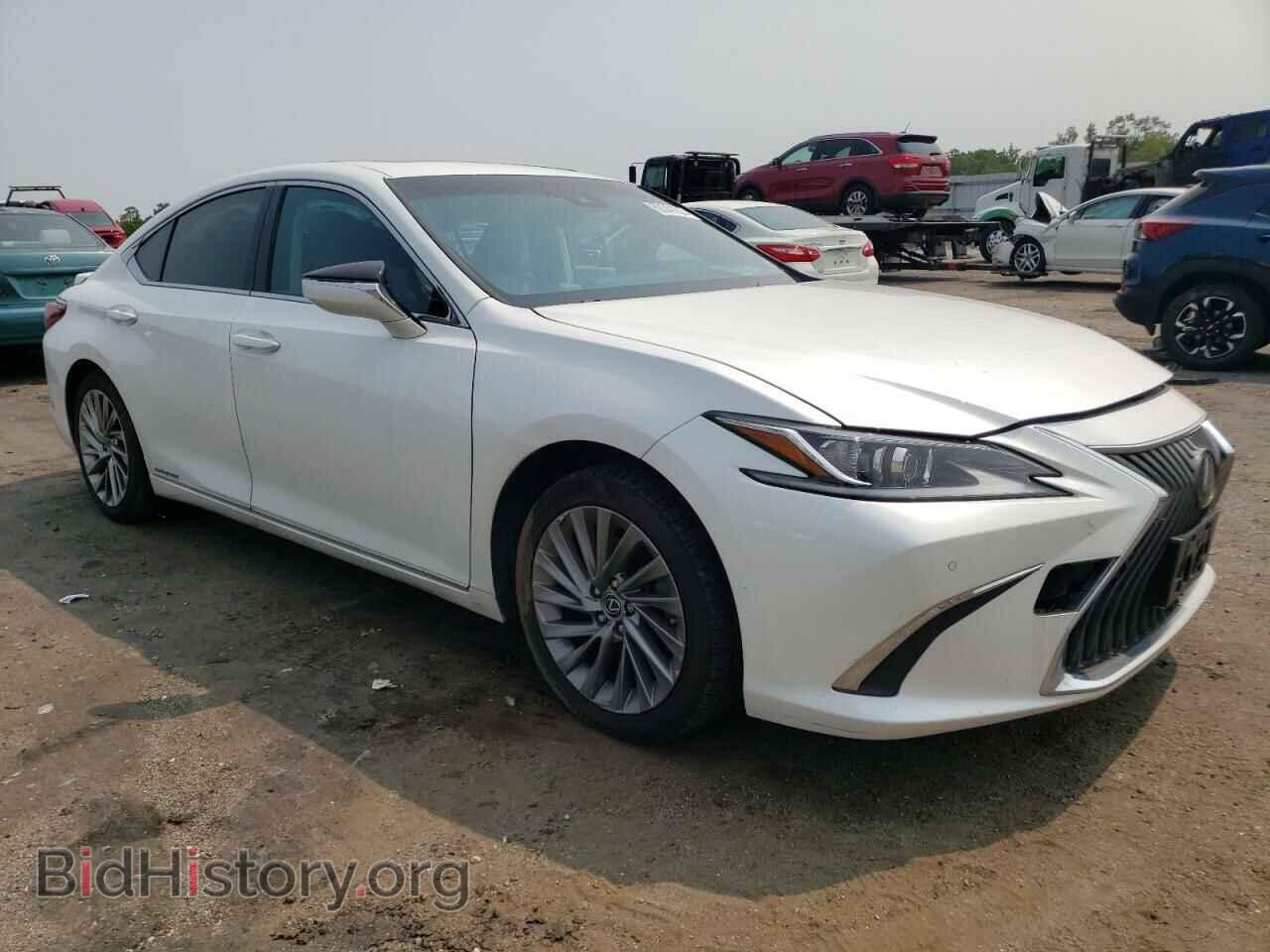 2019 LEXUS ES300 - VIN: JTHB21B16K2006356 - Фото 4