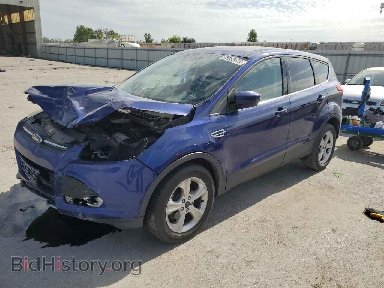 Фотография 1FMCU0GX8EUD86313 - FORD ESCAPE 2014
