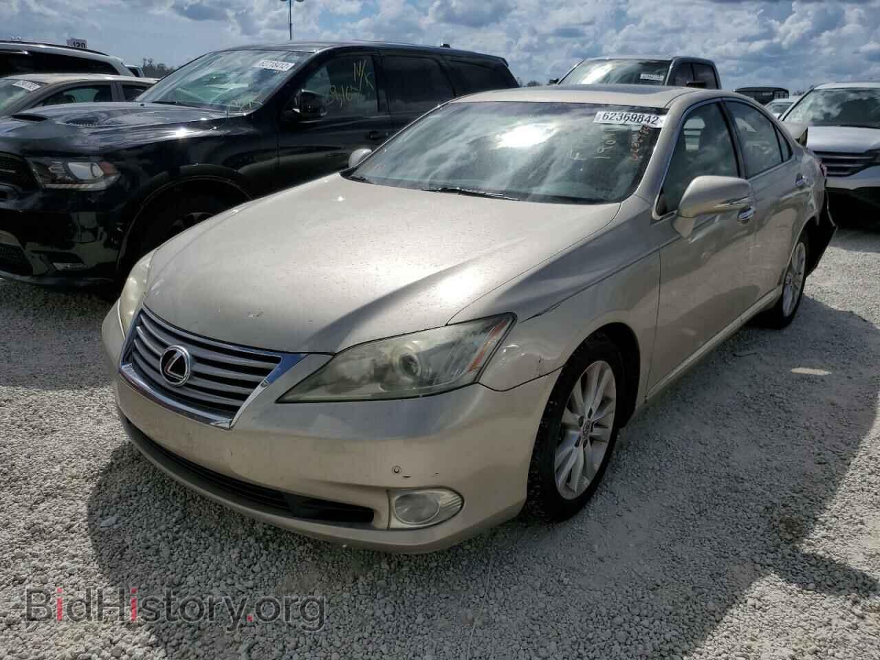 2011 LEXUS ES350 - VIN: JTHBK1EG8B2467686 - Фото 2