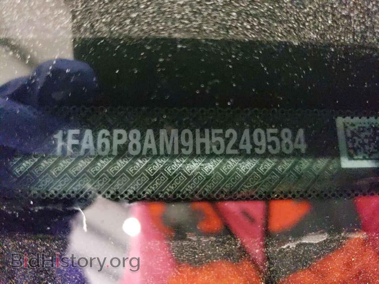 2017 FORD ALL Models - VIN: 1FA6P8AM9H5249584 - Photo 12
